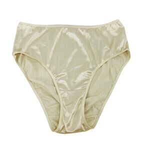 Vintage Lane Bryant Cacique Second Skin Liquid High Gloss Satin Panty Granny 18/